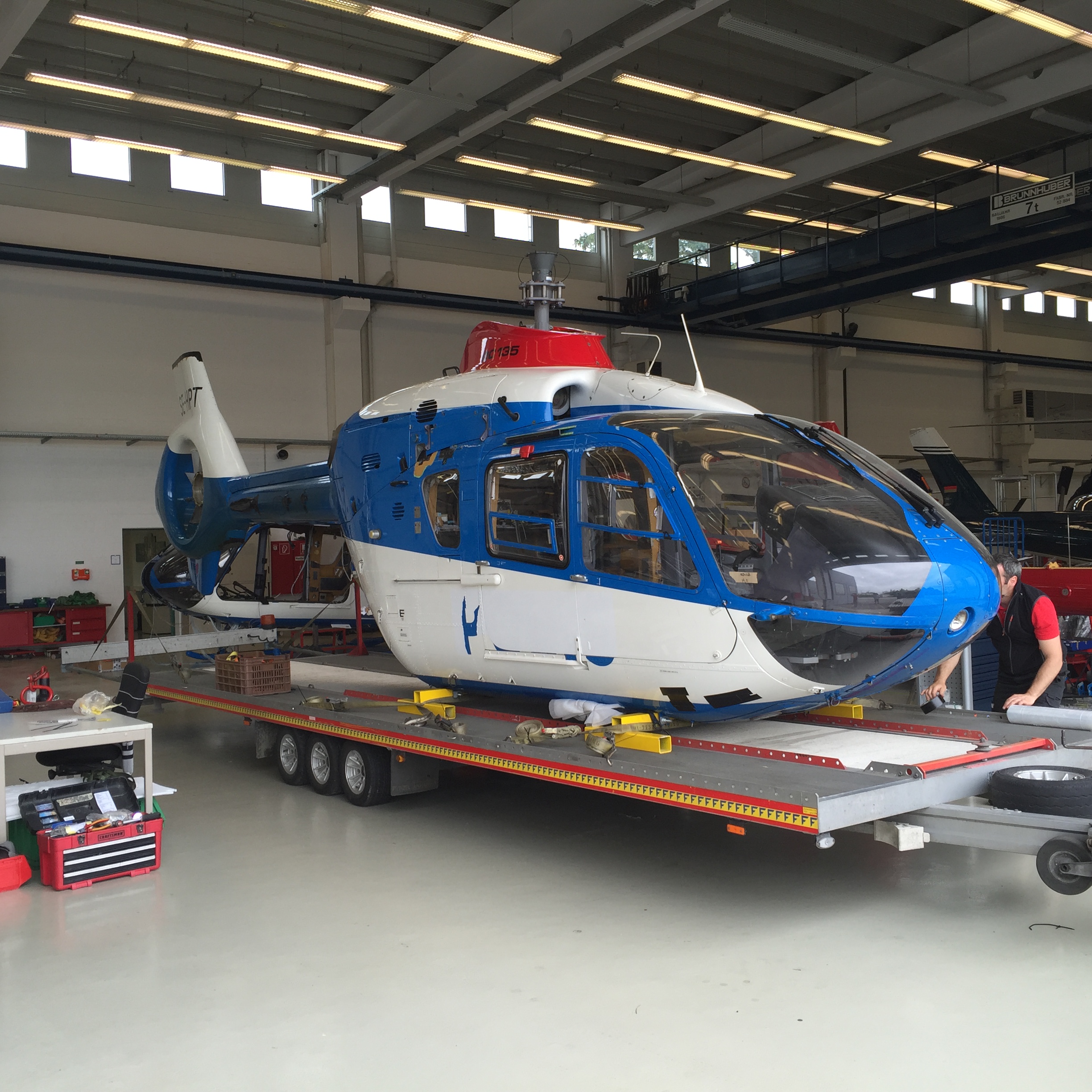 AIRBUS H135 D-HTML PAINTWORK